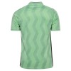 Officiële Voetbalshirt AS Saint-Etienne Derde 2026-27 - Heren