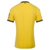 Officiële Voetbalshirt Brentford Derde 2026-27 - Heren