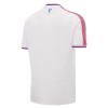 Officiële Voetbalshirt Crystal Palace Thuis 2026-27 - Heren