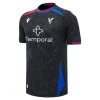 Officiële Voetbalshirt Crystal Palace Uit 2026-27 - Heren Officiële Voetbalshirt Crystal Palace Uit 2026-27 - Heren