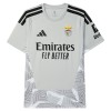 Officiële Voetbalshirt Doelman Benfica 2026-27 Grijze - Heren