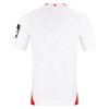 Officiële Voetbalshirt FSV Mainz 05 Uit 2026-27 - Heren