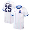 Officiële Voetbalshirt Chelsea Caicedo 25 Derde 2026-27 - Heren Officiële Voetbalshirt Chelsea Caicedo 25 Derde 2026-27 - Heren