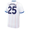 Officiële Voetbalshirt Chelsea Caicedo 25 Derde 2026-27 - Heren